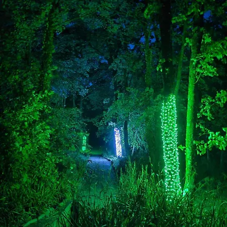 The Squirrel Lodge Carmarthen Esterno foto