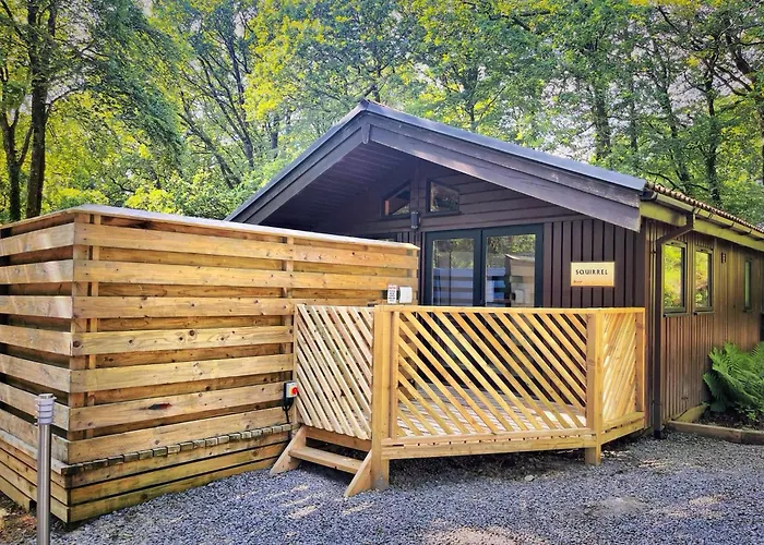 The Squirrel Lodge